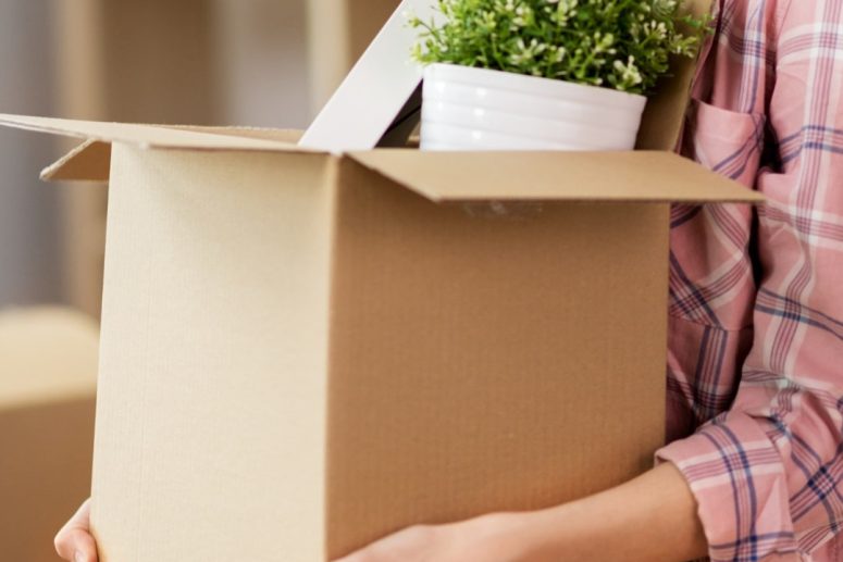 Moving Tips For Organized Move